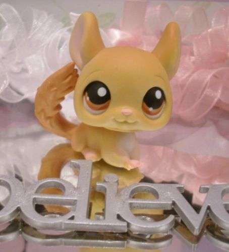 Littlest Pet Shop, Chinchilla #340