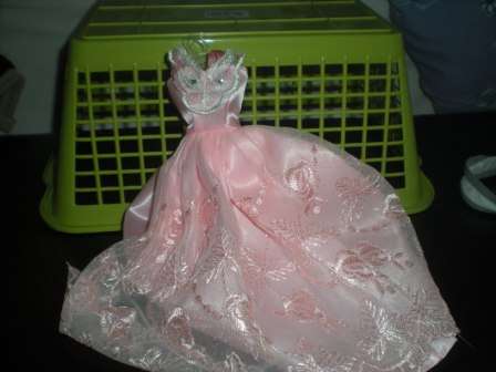 Barbie Clothes, Handmade, Stunning Apricot Gown / Dress