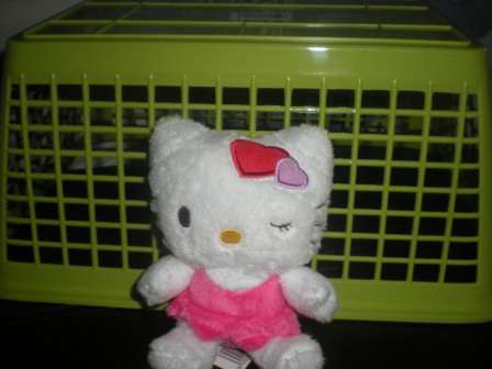 Hello Kitty Soft Toy, Doll with Hearts (Valentines...)