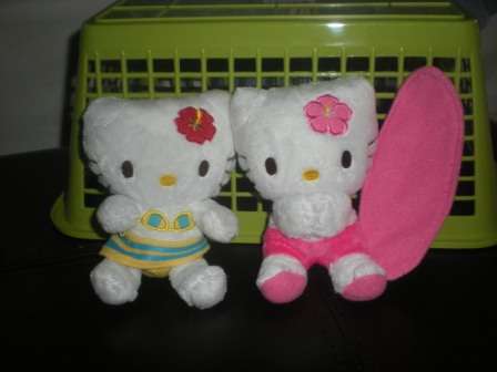 Hello Kitty Soft Toy, Doll Set with Surfboard