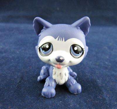 Littlest pet shop, Husky Purple