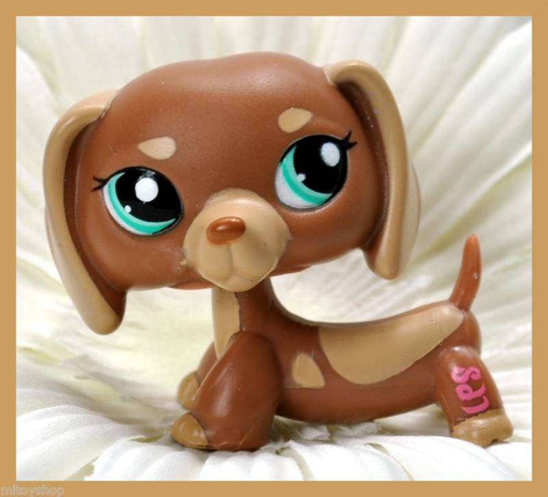 Littlest pet shop, Dachshund 1751