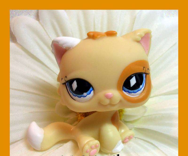 Littlest pet shop, Persian Cat 521