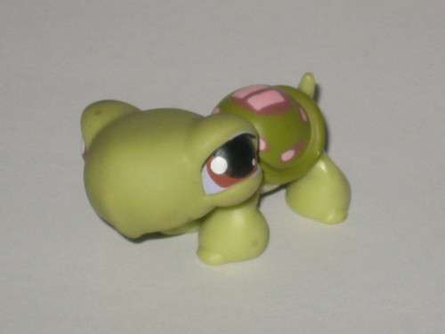 Only 2!!  Littlest Pet Shop, turtle #7