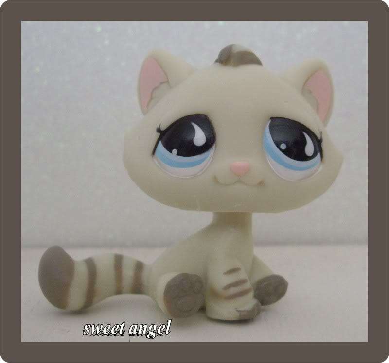 Rare, Littlest Pet Shop, Tabby Cat 563