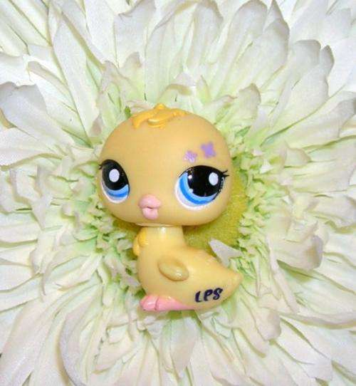 Littlest Pet Shop, Chicklet 1995