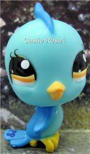Littlest Pet Shop, Blue Bird 1149
