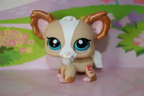 Littlest pet shop, Chihuahua #1082 - flawed