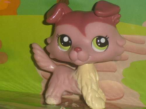 Littlest pet shop, Collie Puppy #1723