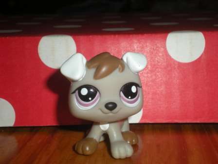 Littlest Pet Shop, Dog - Jack Russel 1197