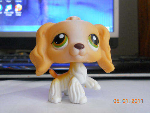 Littlest Pet Shop, Cocker Spaniel 79 - flawed
