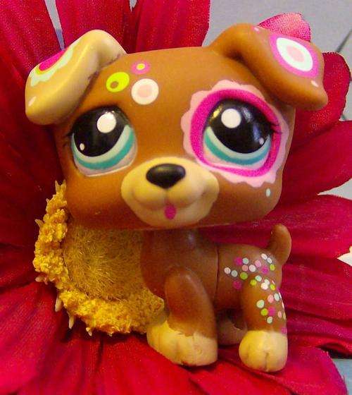 Littlest pet shop, Postcard Pet - NWB Jack Russel #1579