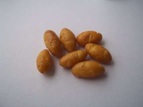 Miniature Food, Re-ment, Collectable Handmade Dollhouse Miniature-Bread / Rolls + Bottle