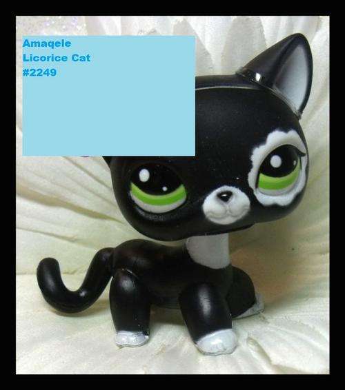 Littlest Pet Shop, Cat Licorice Cat #2249