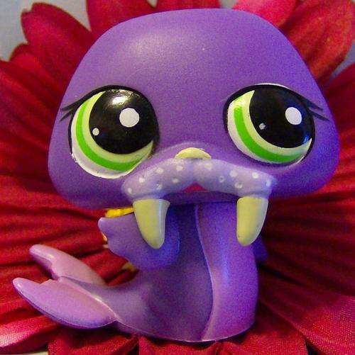 Littlest pet shop, Walrus #1511