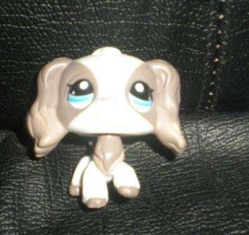 Littlest Pet Shop, Cocker Spaniel - Flawed