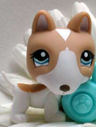 Littlest Pet Shop, Dog - Bull Terrier
