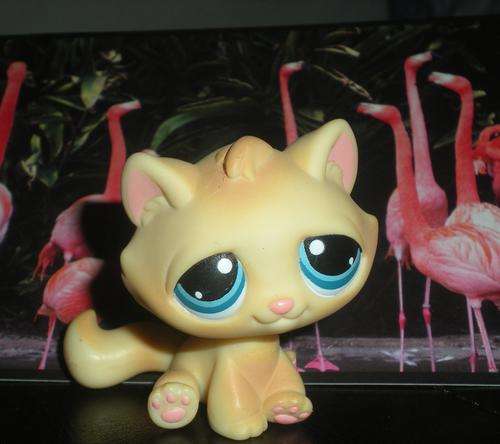 Littlest pet shop, Yellow Cat blue Eyes