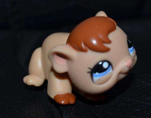 Littlest pet shop, Guinea Pig