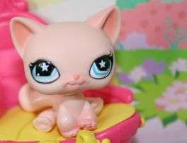 Rare, Littlest Pet Shop, Cat 959