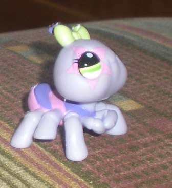 Littlest pet shop,  Spider Pink and Purple