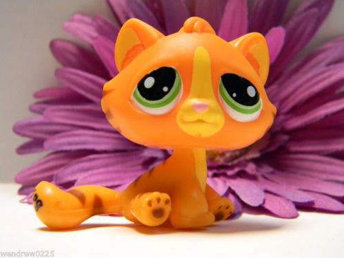 Littlest Pet Shop, Tiger Cat 1834