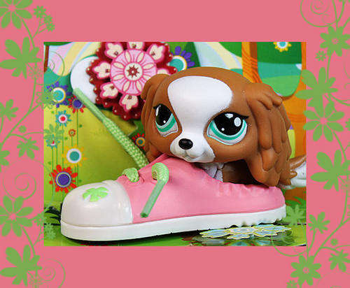 Littlest Pet Shop,  special Edition - Cocker Spaniel # 1825