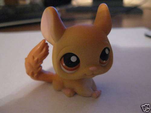 Last one - Littlest Pet Shop, Chinchilla Gold #340