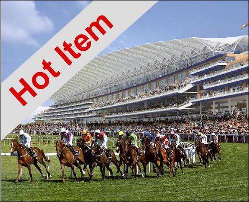HORSE RACING TIPSTER - SUREBETS