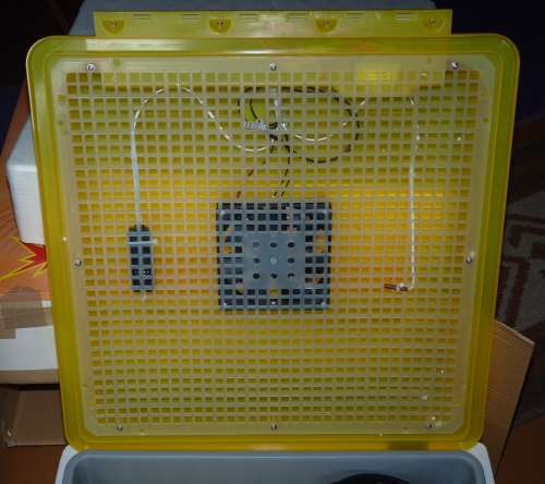 Egg Incubator for 48 eggs - brand new  in original box, never used.