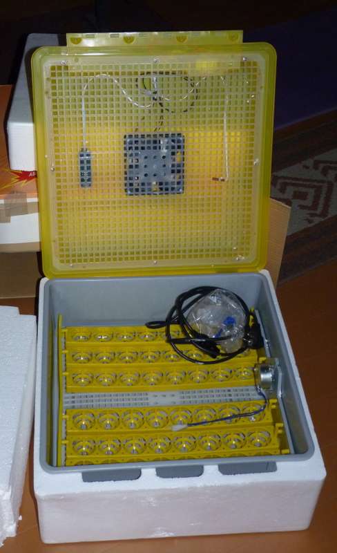 Egg Incubator for 48 eggs - brand new  in original box, never used.