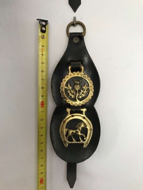 Vintage Brass Horse Medallions on Leather Strap