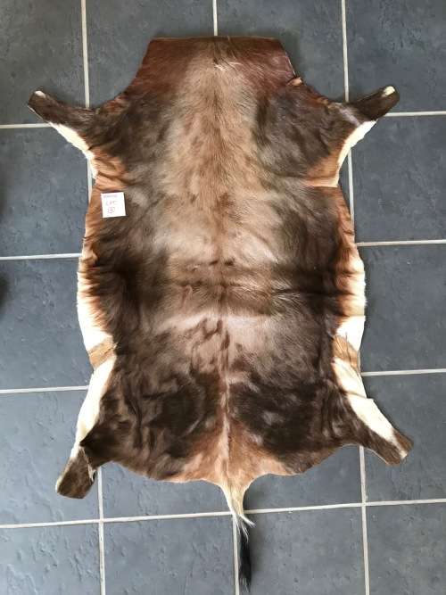 animal skin blesbok lot 1 , approx.size:  86cm x 110cm