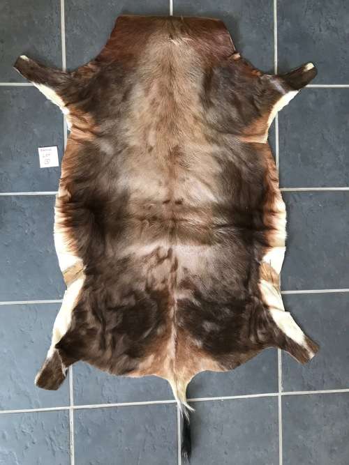 animal skin blesbok lot 1 , approx.size:  86cm x 110cm