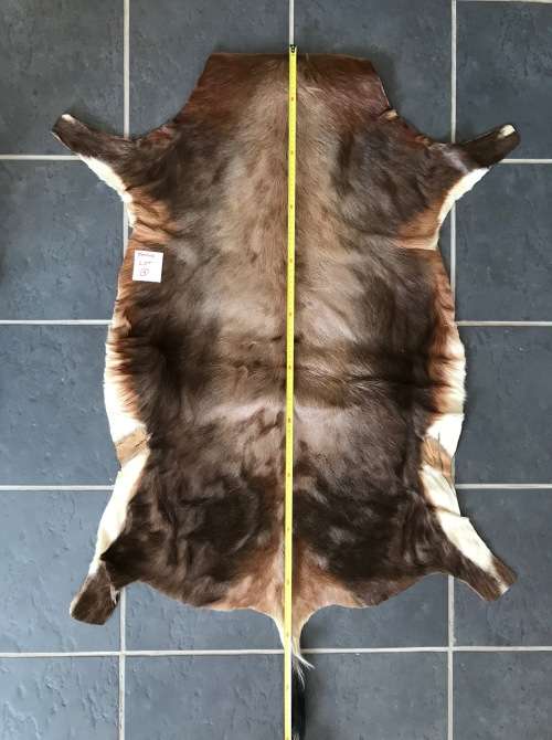 animal skin blesbok lot 1 , approx.size:  86cm x 110cm