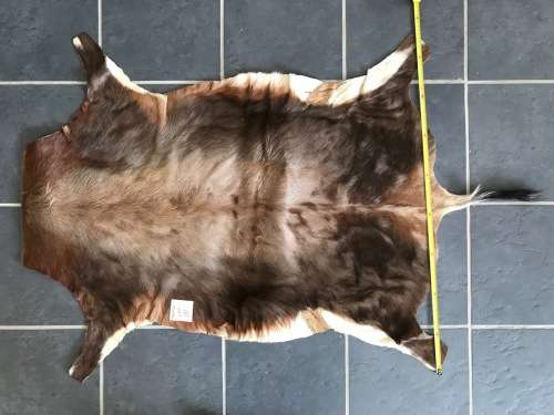 animal skin blesbok lot 1 , approx.size:  86cm x 110cm