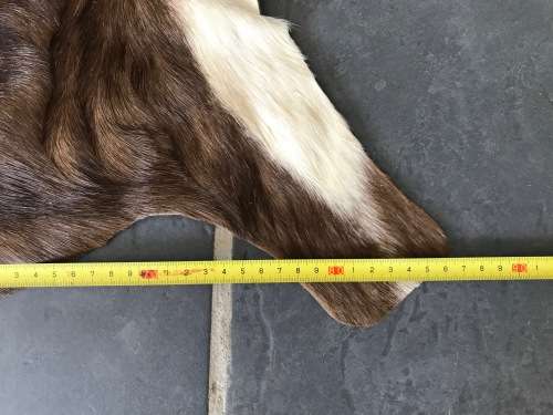 animal skin blesbok lot 1 , approx.size:  86cm x 110cm