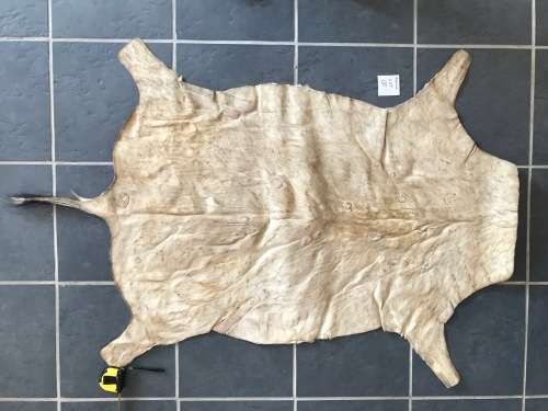 animal skin blesbok lot 1 , approx.size:  86cm x 110cm