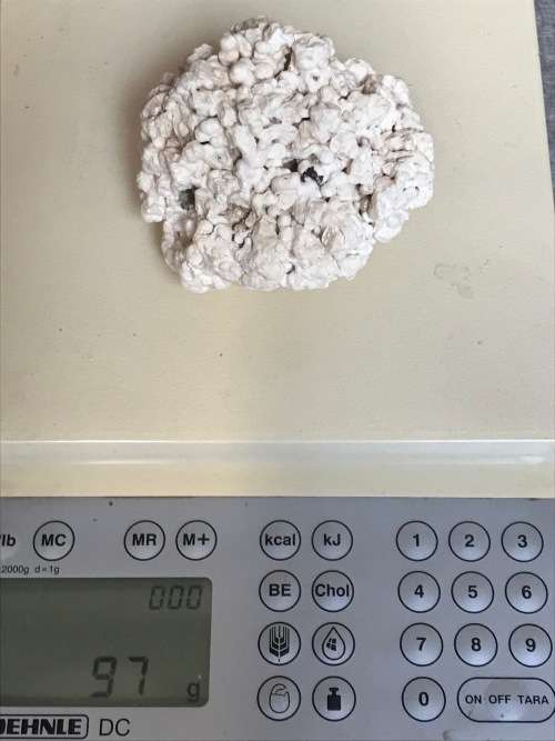Coral lot 1 old vintage collectors item