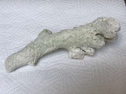 Coral lot 2 old vintage collectors item