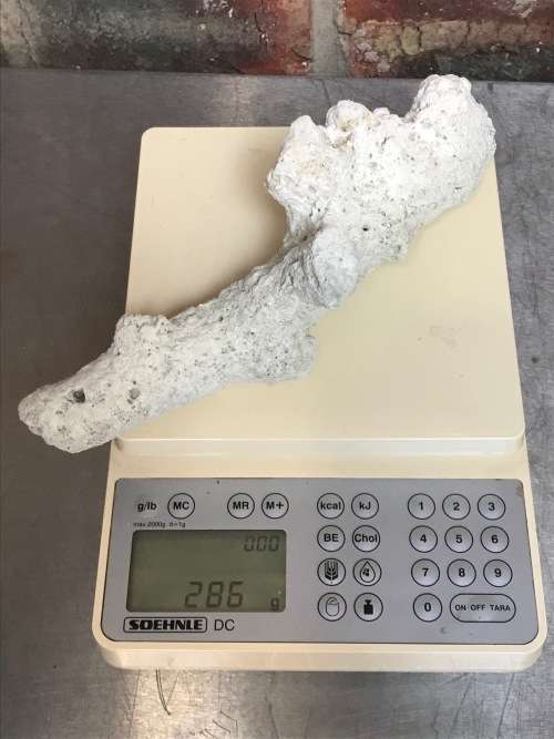 Coral lot 2 old vintage collectors item