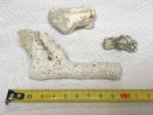 Coral lot 3 old vintage collectors item