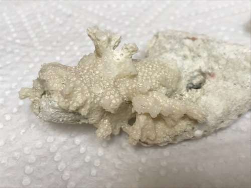 Coral lot 3 old vintage collectors item