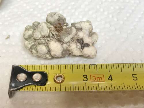 Coral lot 3 old vintage collectors item