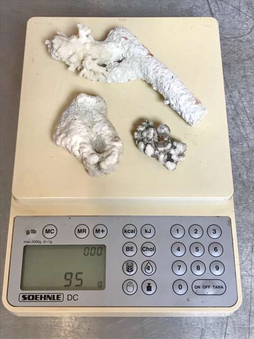Coral lot 3 old vintage collectors item