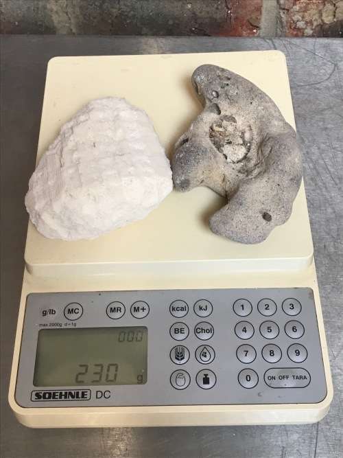 Coral lot 4 old vintage collectors item