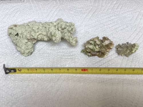 Coral lot 5 old vintage collectors item