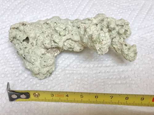 Coral lot 5 old vintage collectors item