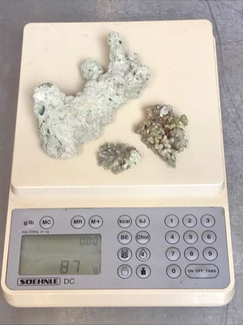 Coral lot 5 old vintage collectors item