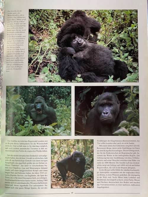 Afrika , Der faszinierende Kontinent, book language german, vintage,1990, Karl Muller Verlag